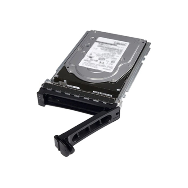 Dell 1TB Nearline SAS Hot Plug HDD for Data Center Storage